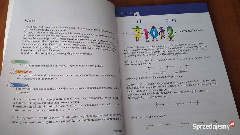 Błękitna Matematyka podręcznik klasy 1 gimnazjum tradycyjny podręcznik