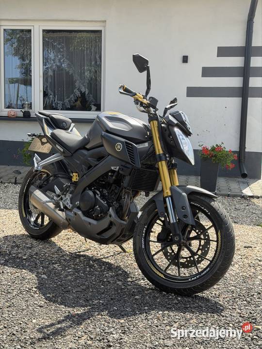Yamaha MT125 Akrapovic łódzkie Kobiele Wielkie