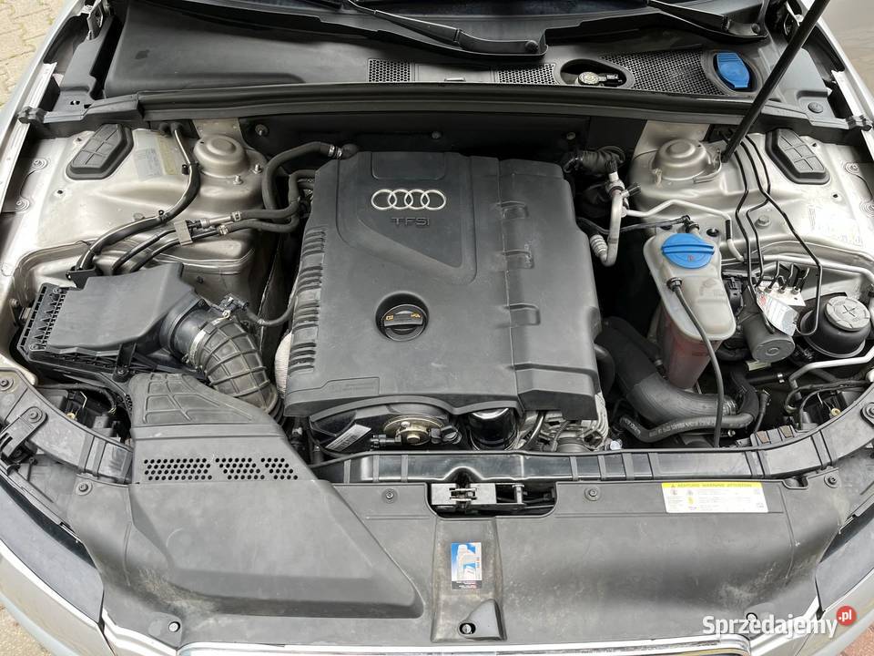 Audi A5 Quattro 20 benzyna 210 2010r Nie wymaga Nowy Sącz