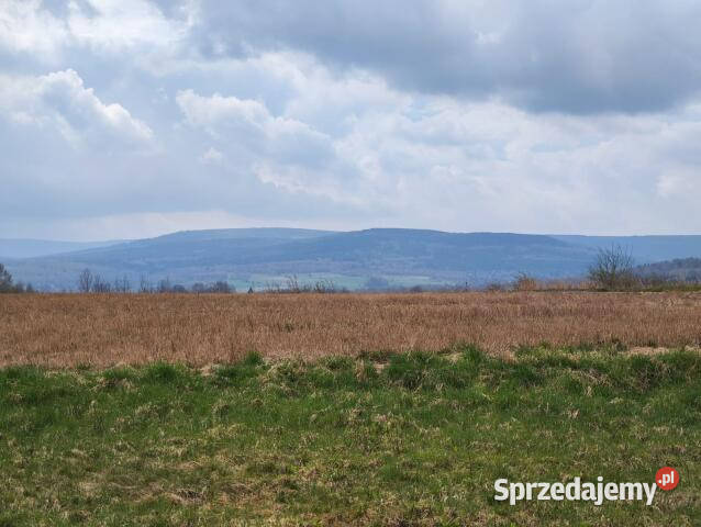 Działka 1592m2 Grudza Sprzedaż