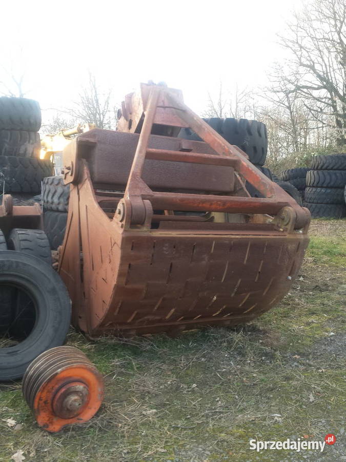 PŁUCZKA MIECZOWA Pozostałe Chojnów