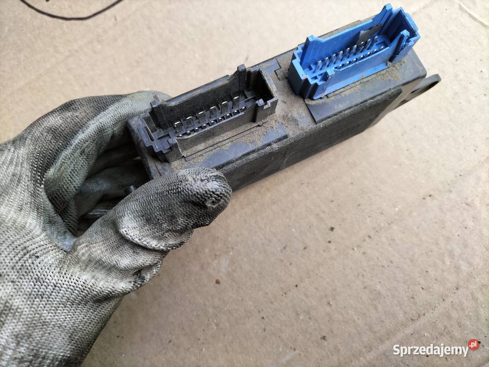 RENAULT LAGUNA 1 2 LIFT KOMPUTER STEROWNIK MODUŁ osobowe Kamień-Kolonia