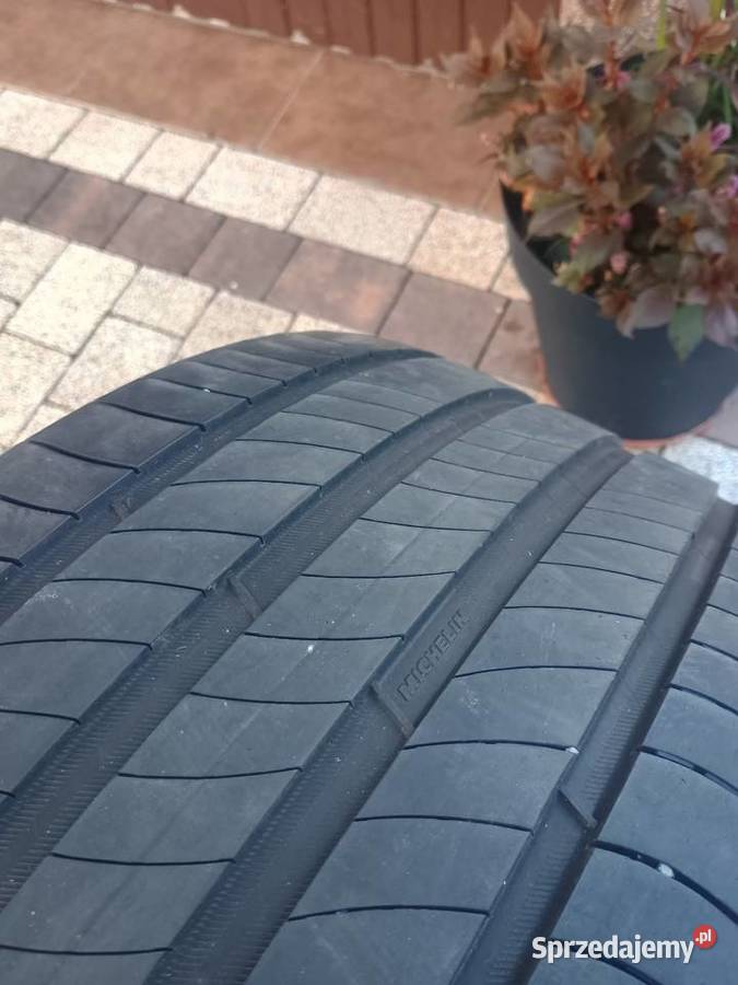 Opony letnie Michelin Truskolasy