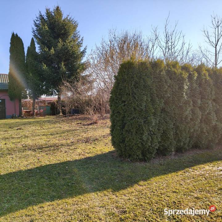 Sprzedam działkę w ROD RELAKS Dębica