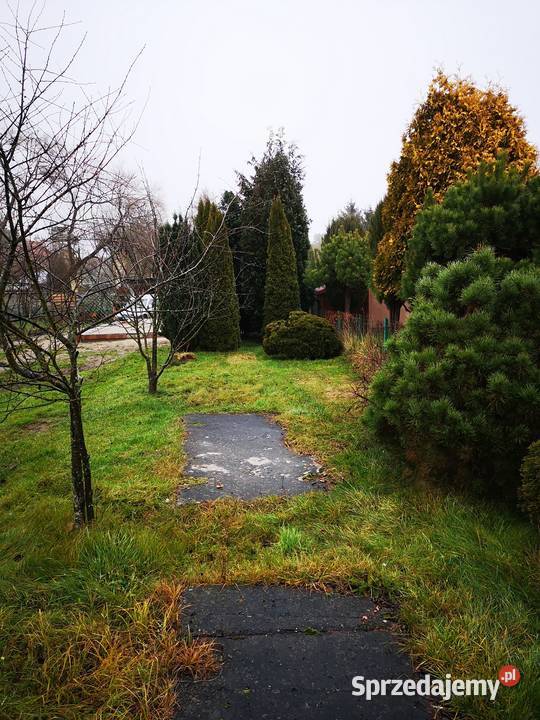 Działka ROD Wisełka 2 Gdańsk pomorskie