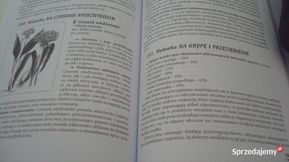 Zioła w nalewkach leczniczych Osięciny