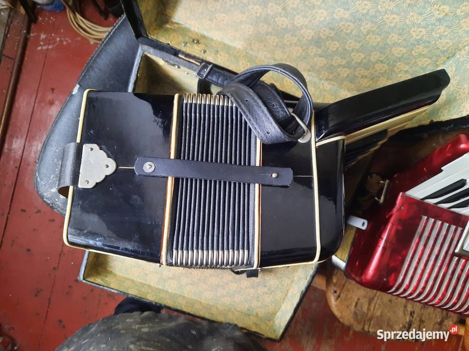 Akordeony cyklop hohner firotti