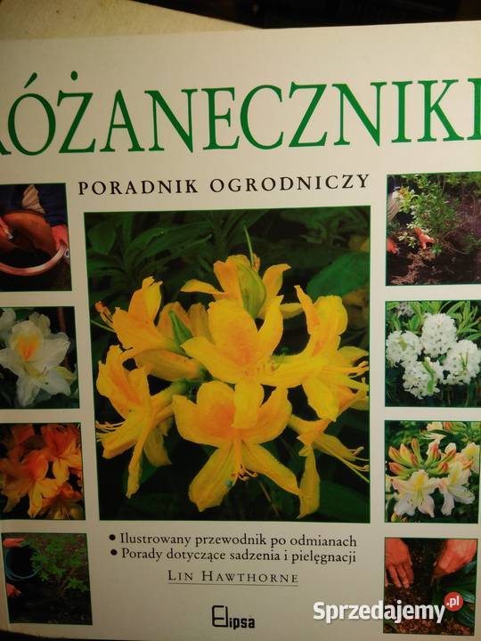 Różaneczniki książka Bródno kwiaty księgarnie Warszawa