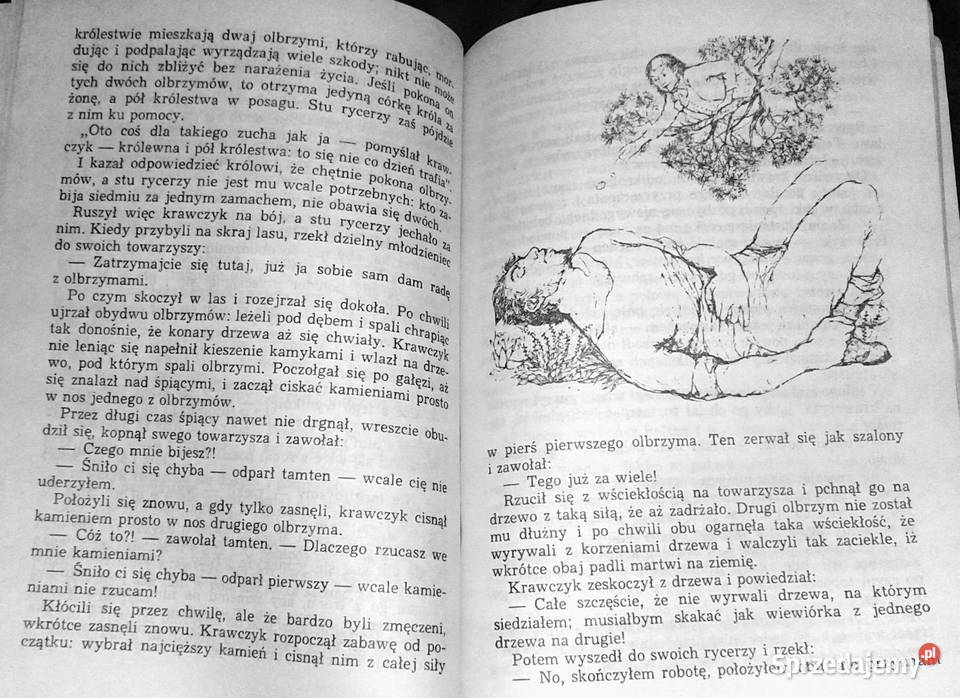 Baśnie Grimm Wilhelm i Jakub Grimm Rok wydania 1985 Chełm