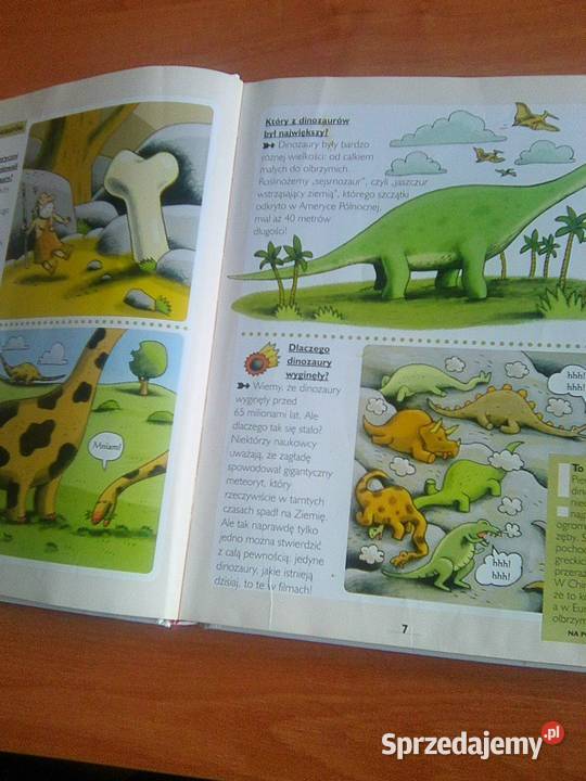 Dlaczego Encyklopedia w pytaniach i Rok wydania 2010