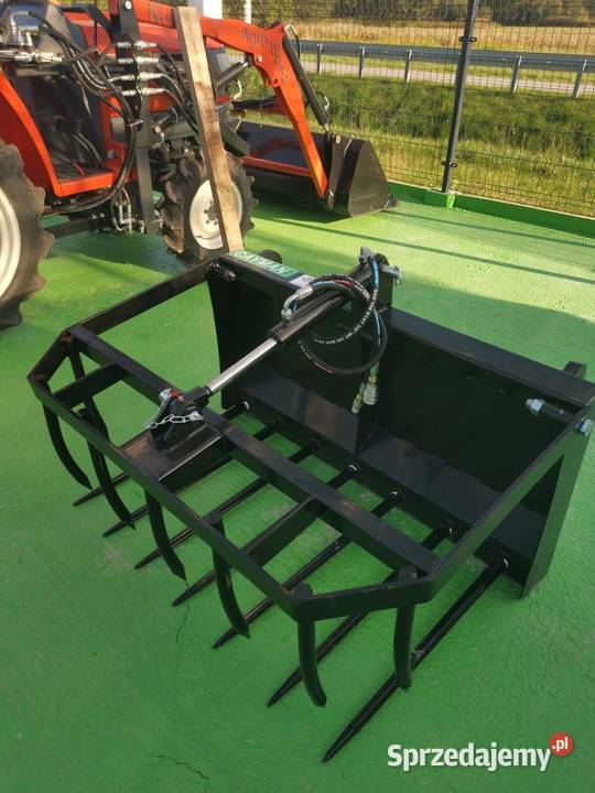 Krokodyl Cayman 14m Końskie