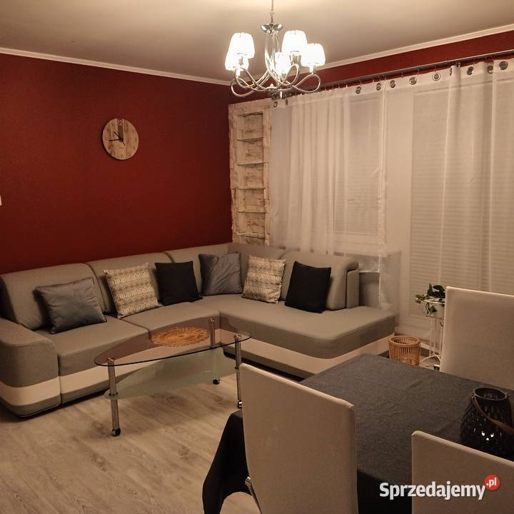 Wynajmę mieszkanie 52 m2 z ogródkiem 111 m2 parter mazowieckie