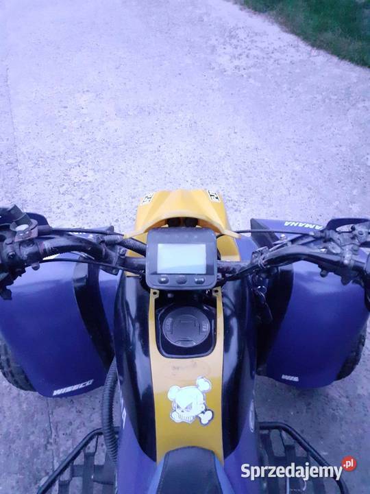 BASHAN 250 MANUAL nieuszkodzony Bashan