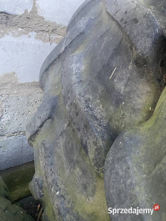 Opona 184r38 Pirelli 46085r38 Zgniłobłoty