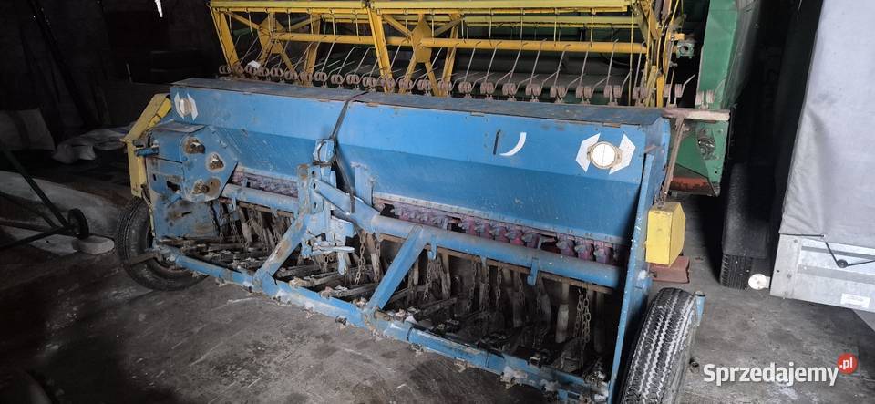 Siewnik Poznaniak Sędziszów