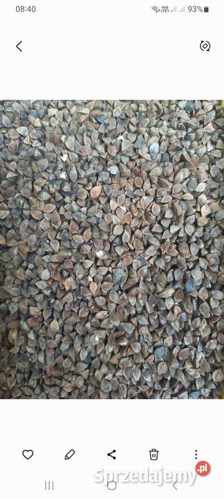 Sprzedam gryke małopolskie Wola Radłowska sprzedam