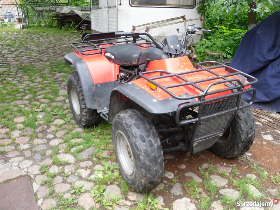 Quad Arctic cat 350 Pozostałe