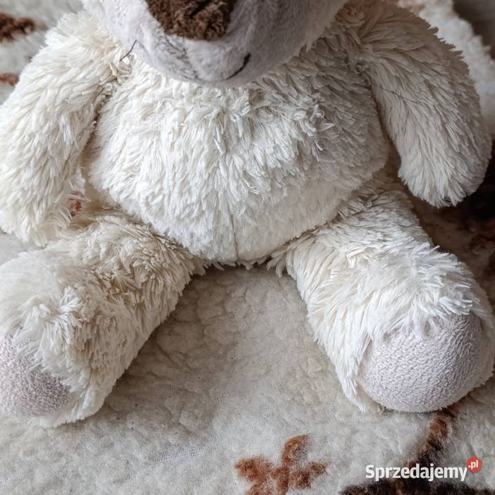 miś w odcieniu kremowym 40 Maskotki wielkopolskie Poznań