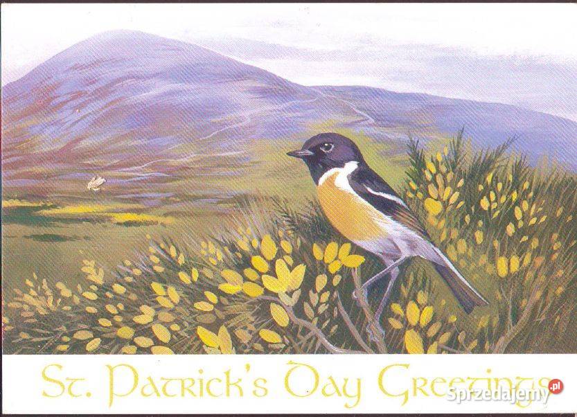 K Poczt Irlandia Kląskawka kas 1997 Gliwice