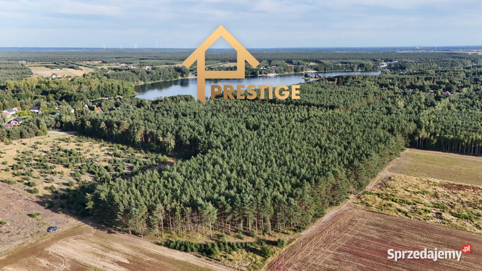 Kompleks działek budowlanych 145ha lesie 900m Żółwieniec sprzedam