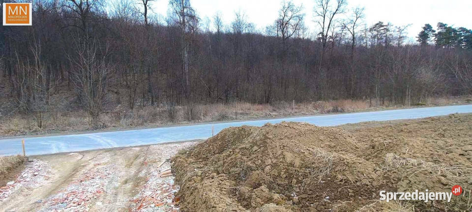 Grunt Łuczyce 700m2