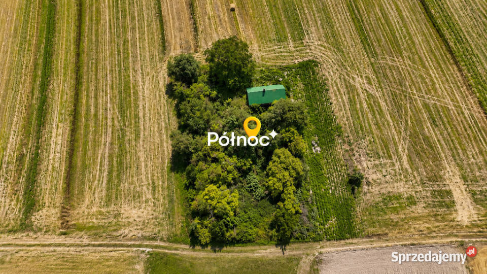 Siedlisko 9 ar 16 Zamościa woda i prąd lubelskie Wielącza-Kolonia sprzedam
