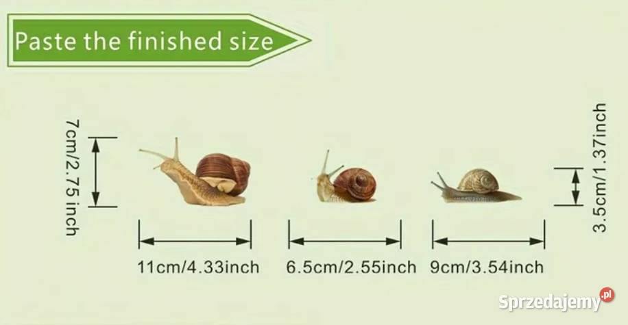 Naklejki na szybę ślimaki 4 Naklejki Ząbki