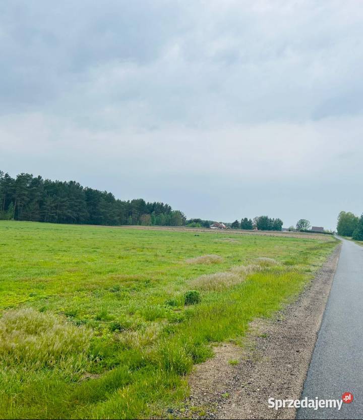 Działka Rolna 087h Lipowiec drodze asfaltowej Szczytno sprzedam