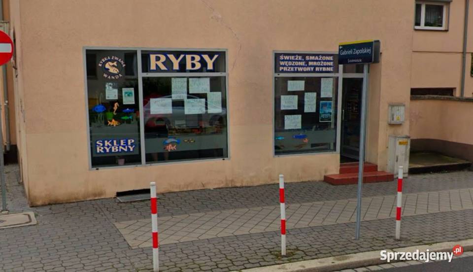 LOKAL 75m OPOLE 1MAJA DUŻE WITRYNY opolskie