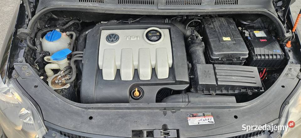 Golf V Plus 19 TDI Klima Częstochowa