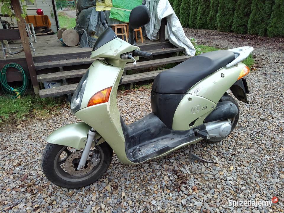 Honda Nes 125 świętokrzyskie