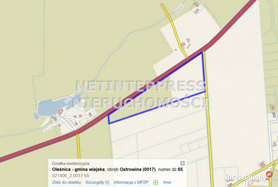 Działkę sprzedam 47100m2 Oleśnica Grunty i działki