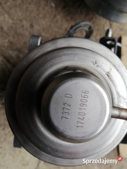 Volkswagen 19TDI zawór egr Serock