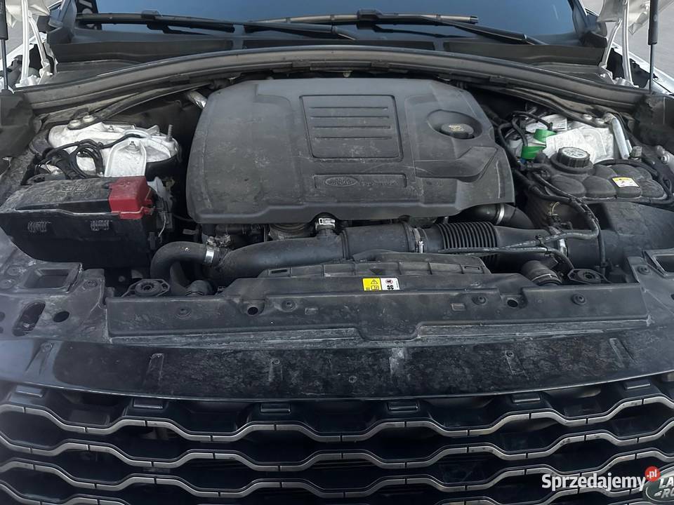 Land Rover Inny Land Rover Range Rover Velar Siedlce