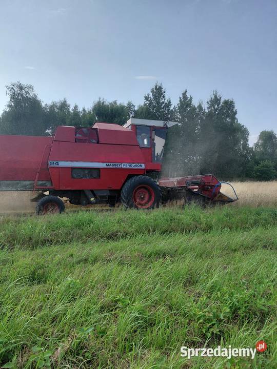 Massey Ferguson 24 Kielce sprzedam
