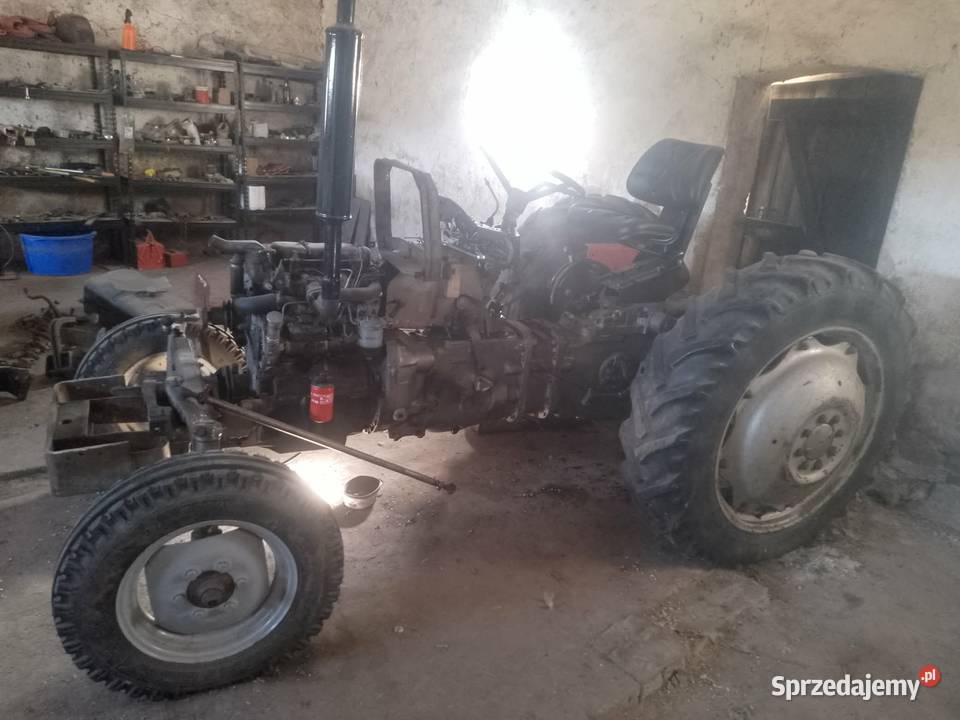 massey ferguson 255 Kłecko sprzedam