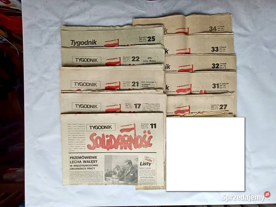 Tygodnik Solidarność 11 numerów z rocznika 1981 pomorskie