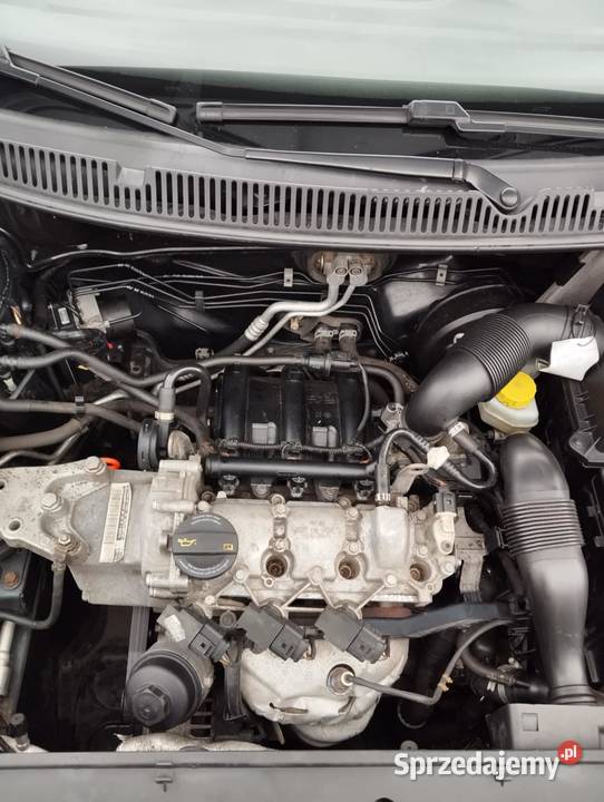 Volkswagen Polo 12 2009r Przedecz
