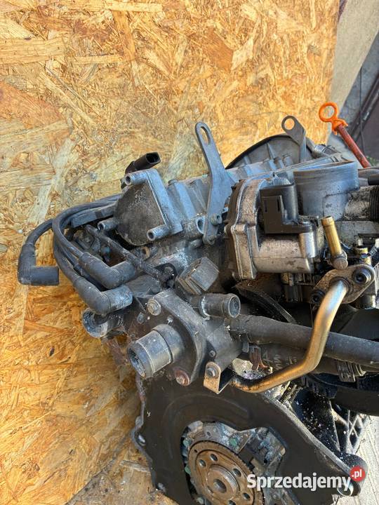 VW GOLF 4 14 AKQ 197 PRZEBIEG SILNIK BENZYNA osobowe Blok silnika wielkopolskie sprzedam