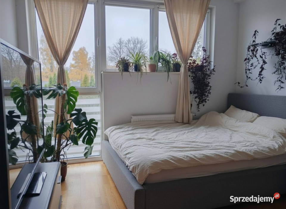 Segment 4 pokoje 2 łazienki ogródek 2 miejsca Nowy Dwór Mazowiecki
