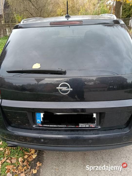 Opel Signum 19 120 384000km świętokrzyskie