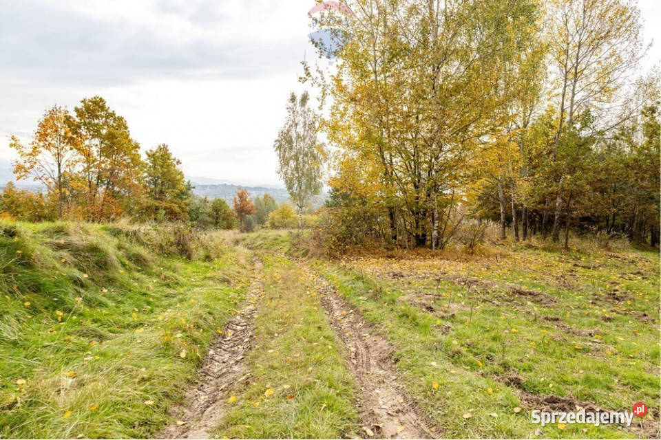 Działka leśna 862 m w Oczkowie