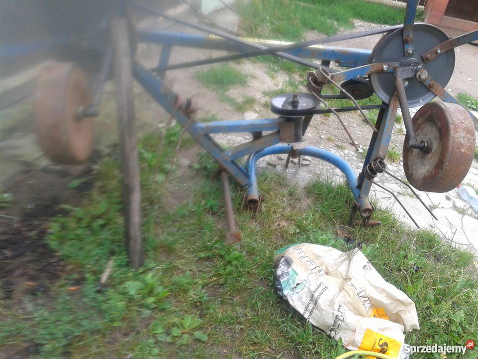 SPRZEDAM PAJĄKA Winnica