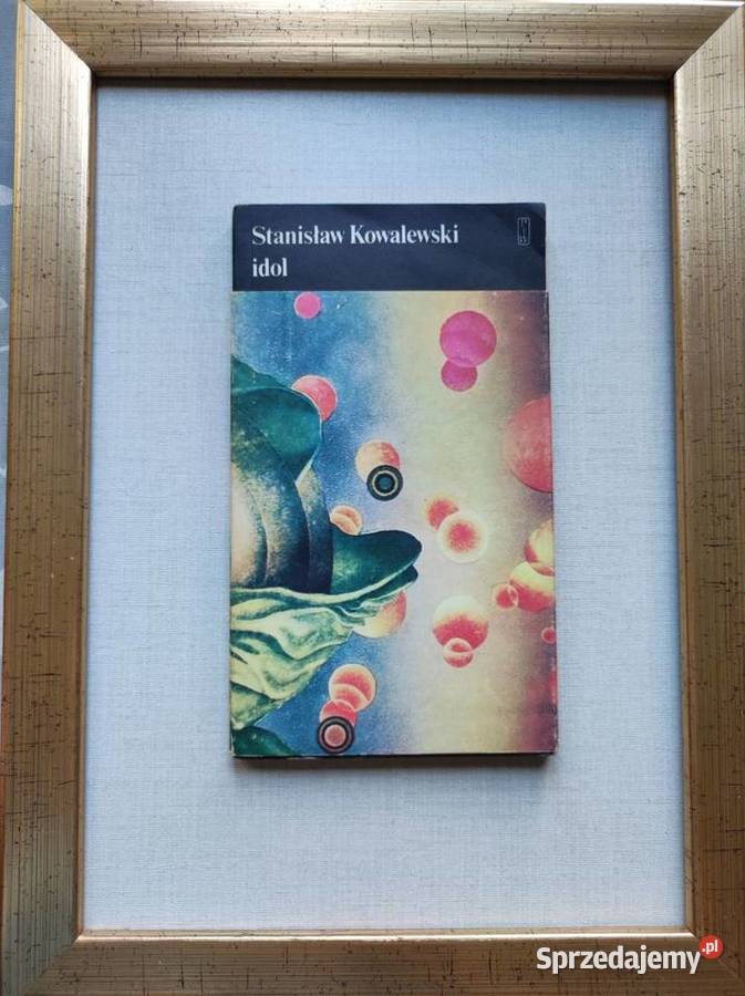 Idol Stanisław Kowalewski ISBN 9788378819134 świętokrzyskie Kielce