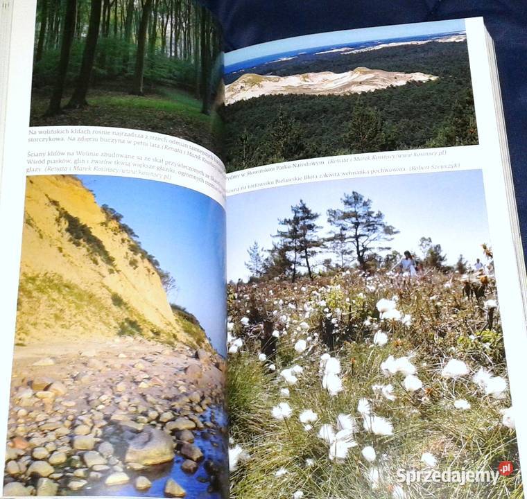 Zielona Polska Wojciech Lewandowski Robert Mapy i przewodniki lubelskie Chełm