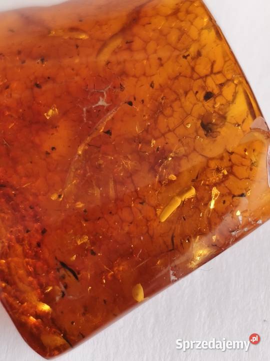 Bursztyn Inkluzja podlaskie Białystok sprzedam