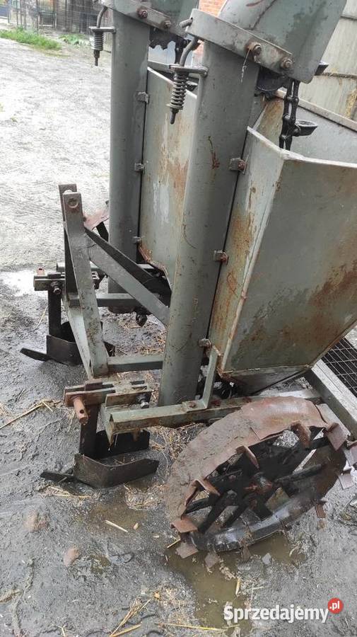 Sadzarka do ziemniaków Groszki