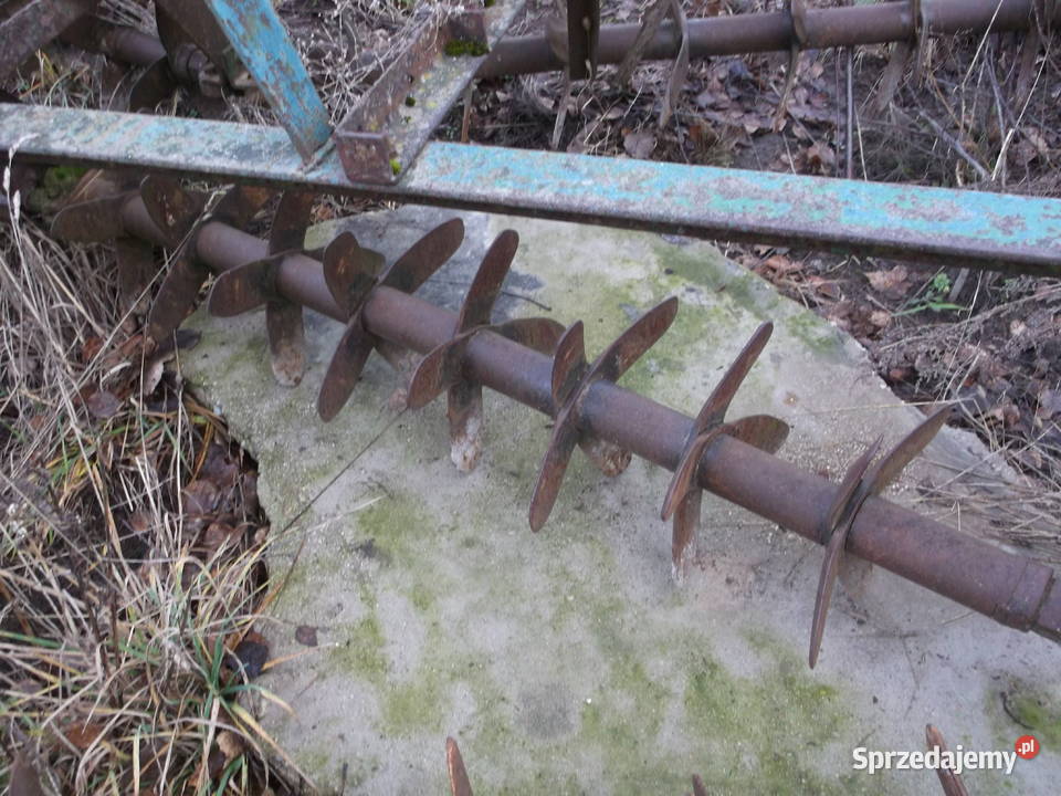 Brona kolczatka nieuszkodzony Białystok