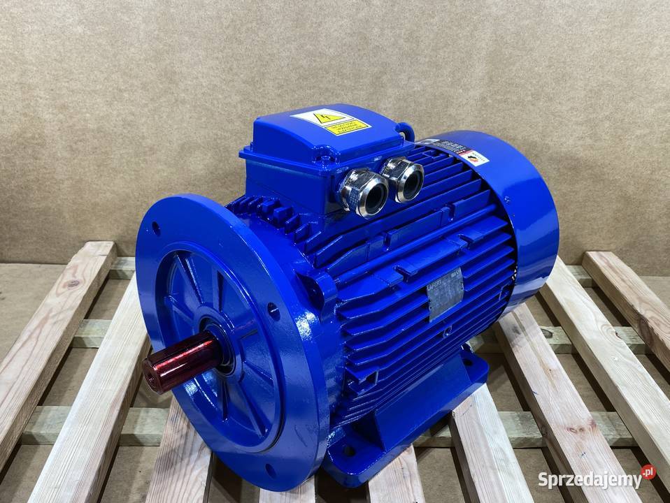 silnik elektryczny 22kW 2940obr 3fazowy IE3