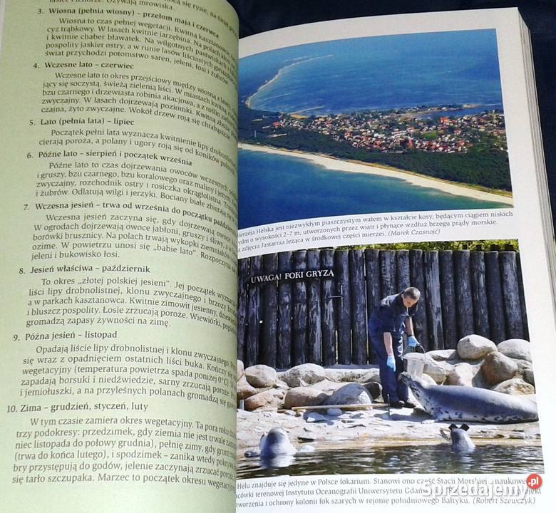 Zielona Polska Wojciech Lewandowski Robert